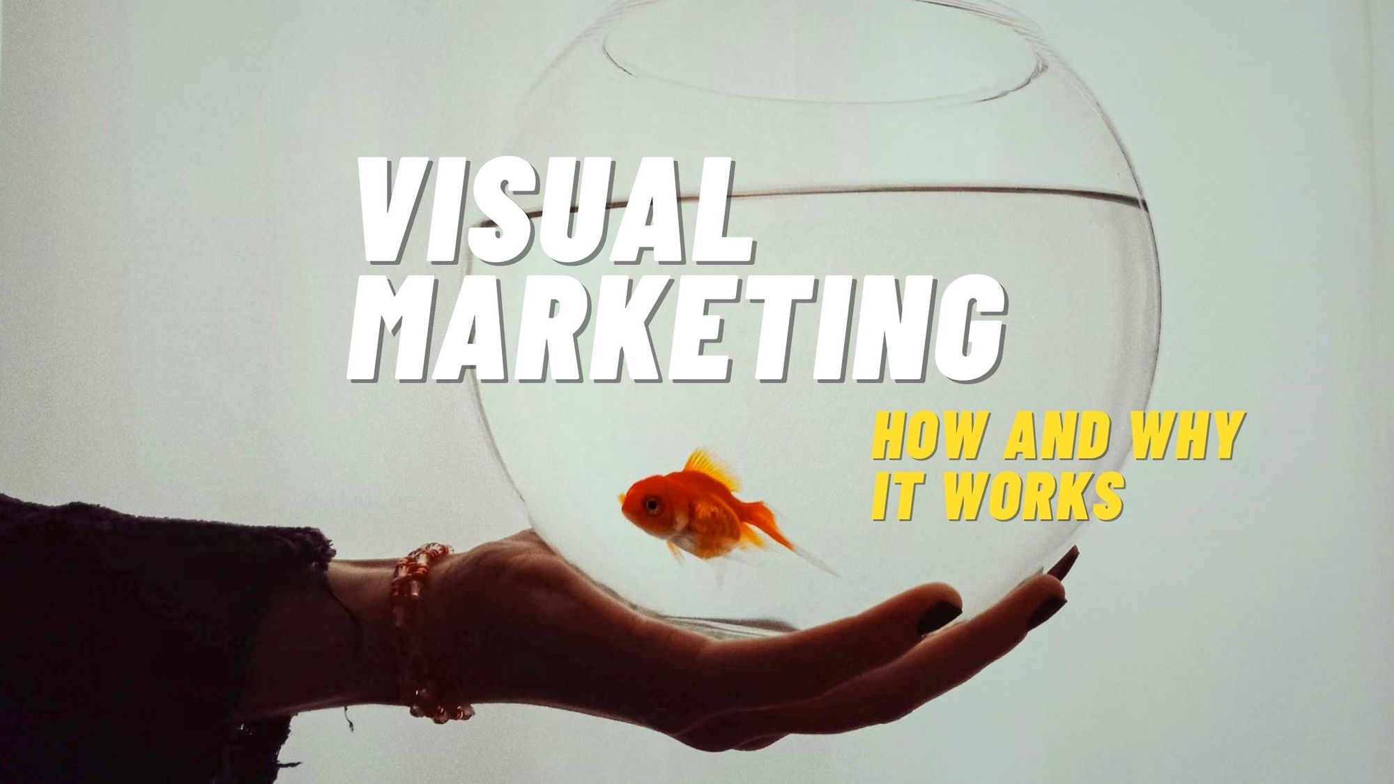 Marketing Visual Tools: Enhance Your Brand's Visual Strategy