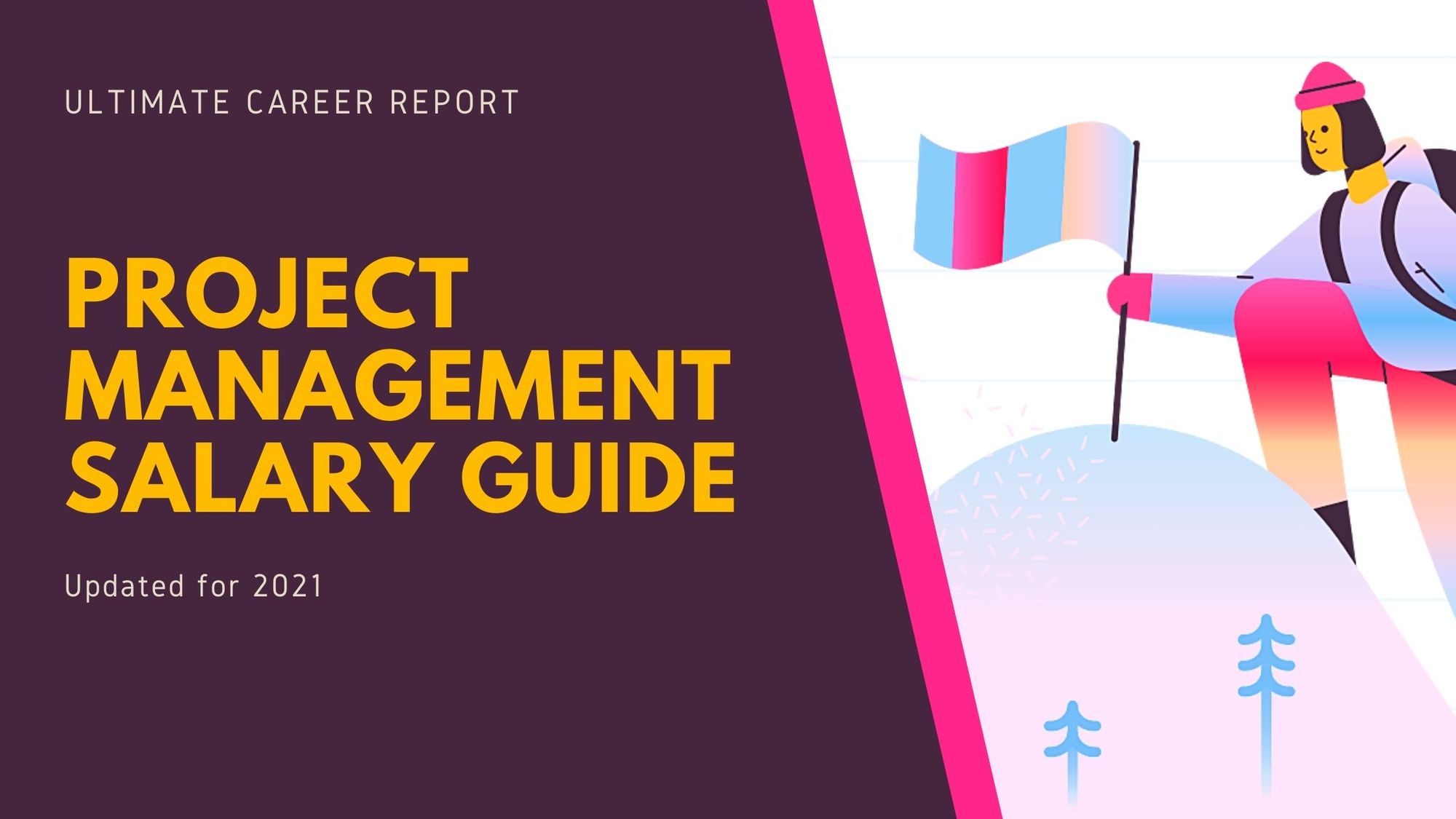 Project Manager Salary Guide For 2021 - Ultimate Career Report