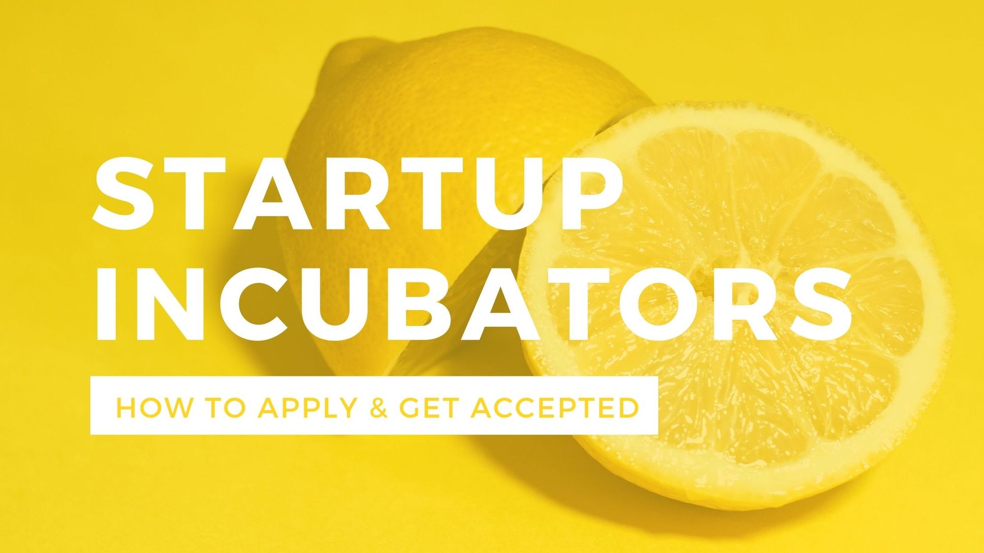 How to Apply and Get Accepted to a Startup Incubator