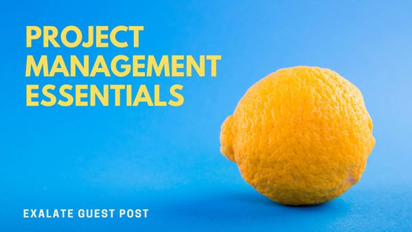 A Guide to Project Management Essentials